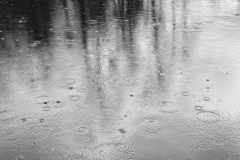Regentropfen im Wasser