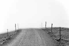 Strasse in Nebel 01