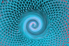 Sonnenblumenstruktur hellblau