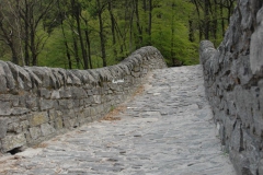 Steinbrücke im Tessin